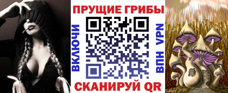 Псилоцибиновые грибы ЛСД Славск